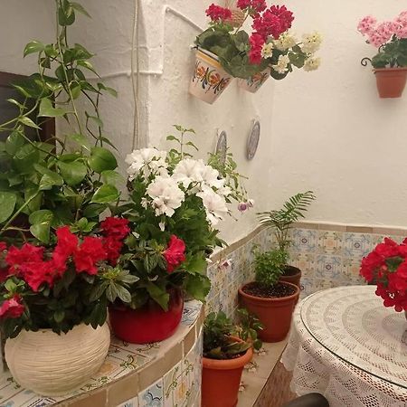 Casa Tipica De Pueblo Andaluz Villa Villanueva de San Juan Екстериор снимка