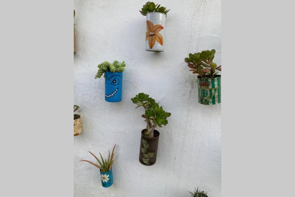 Casa Tipica De Pueblo Andaluz Villa Villanueva de San Juan Екстериор снимка