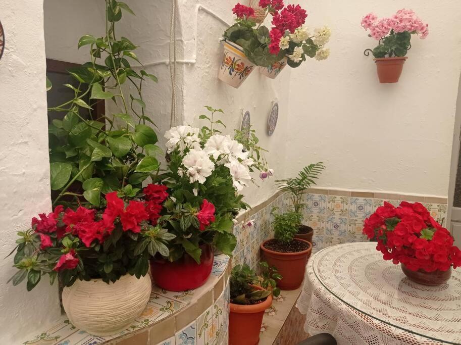 Casa Tipica De Pueblo Andaluz Villa Villanueva de San Juan Екстериор снимка